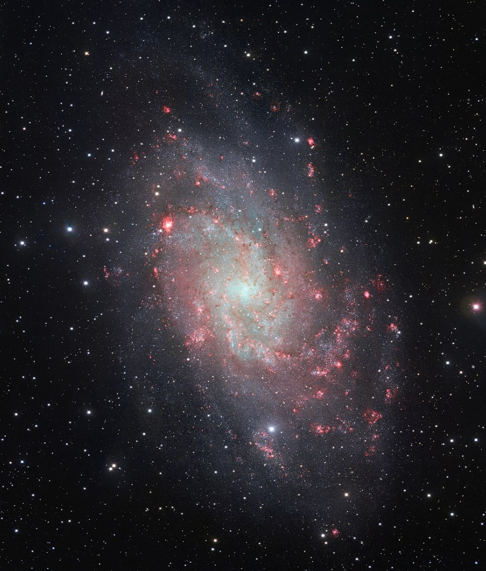 M33